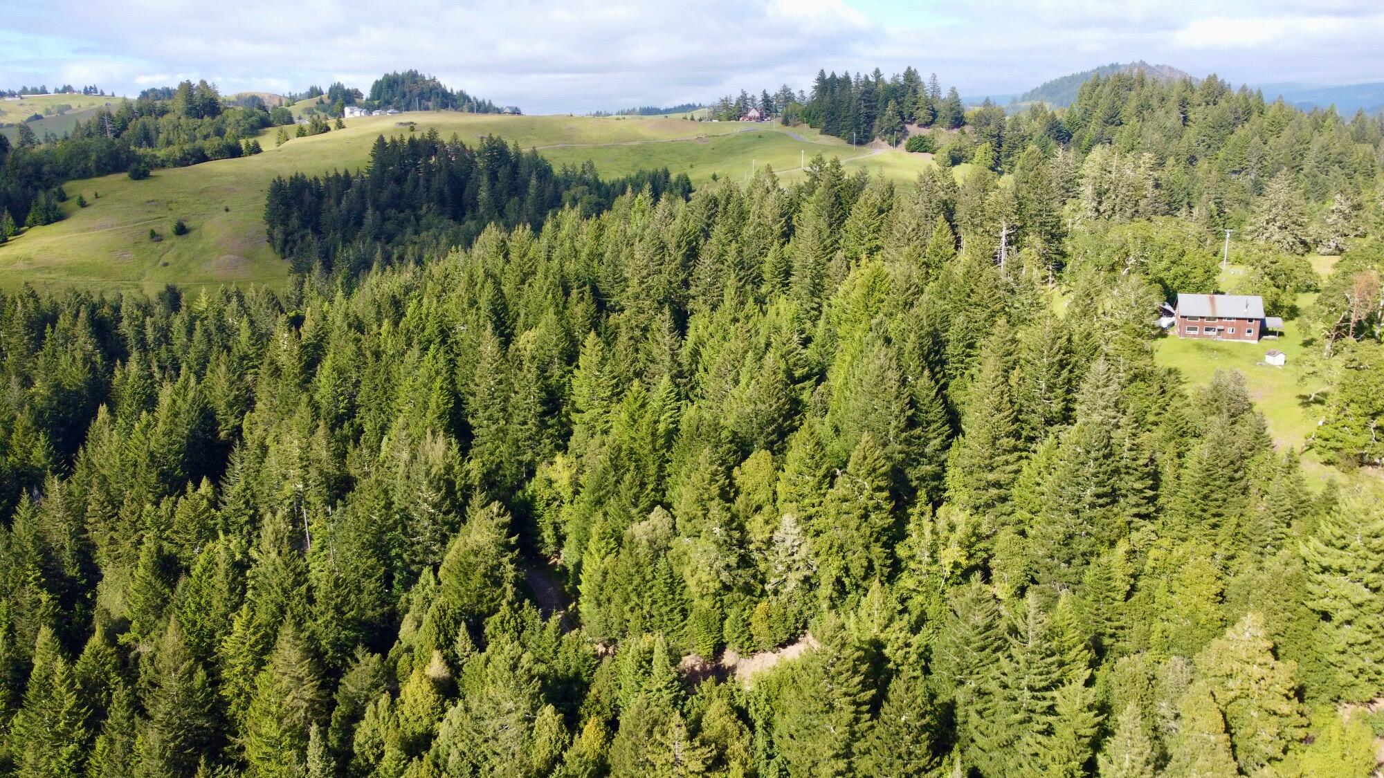1460 Tim Mullen Road Kneeland, CA 95549 - Photo 18 of 93