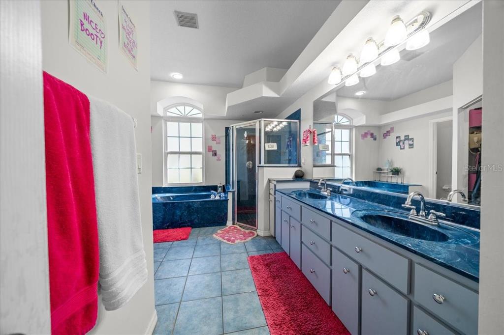 5365 Southwest 111th Lane Road Ocala, FL 34476 - Photo 23 of 42 a spacious bathroom with a granite countertop sink a mirror and a shower