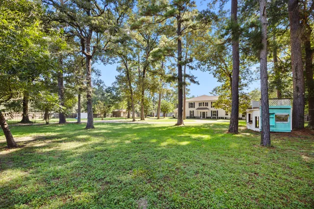 a view of a trees in a park