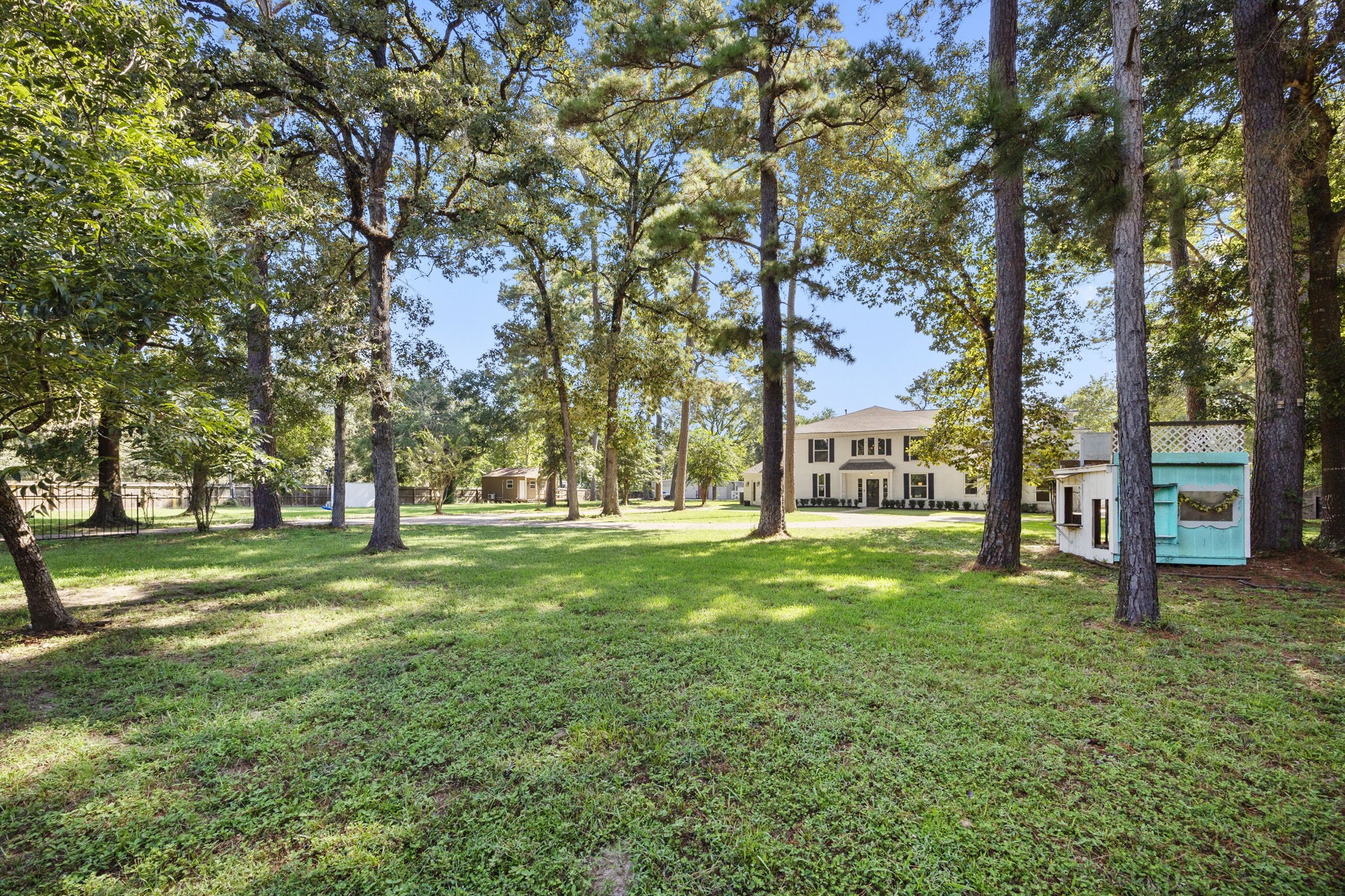 21802 Lindheimer Road Hockley, TX 77447 - Photo 5 of 50 a view of a trees in a park