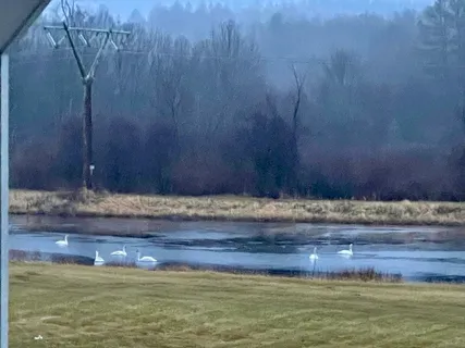 $2,400,000 | 6 Lynbrook Road, Southborough, MA 01772