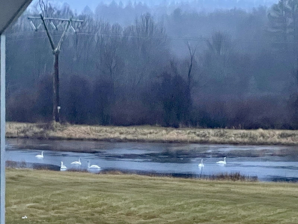 6 Lynbrook Road Southborough, MA 01772 - Photo 41 of 42