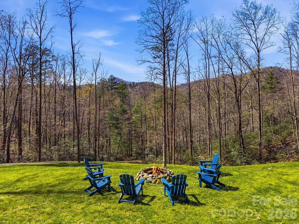 3138 Buffalo Creek Road Lake Lure, NC 28746 - Photo 2 of 37