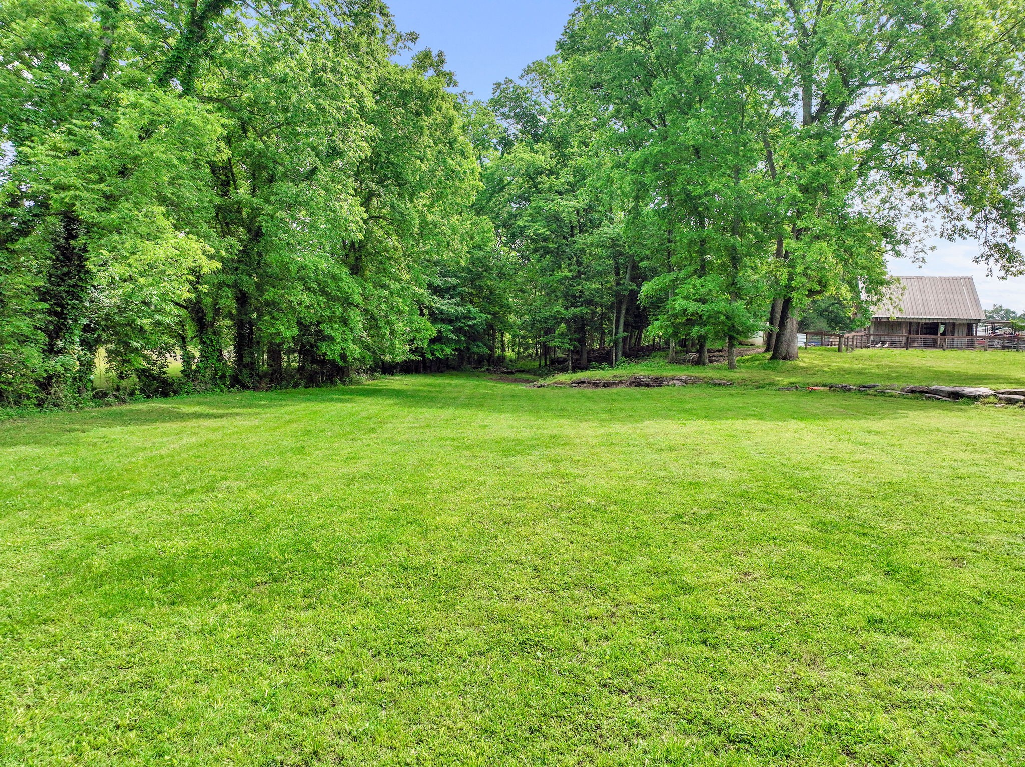 3079 Cairo Bend Road Lebanon, TN 37087 - Photo 61 of 67 a view of a grassy field with trees