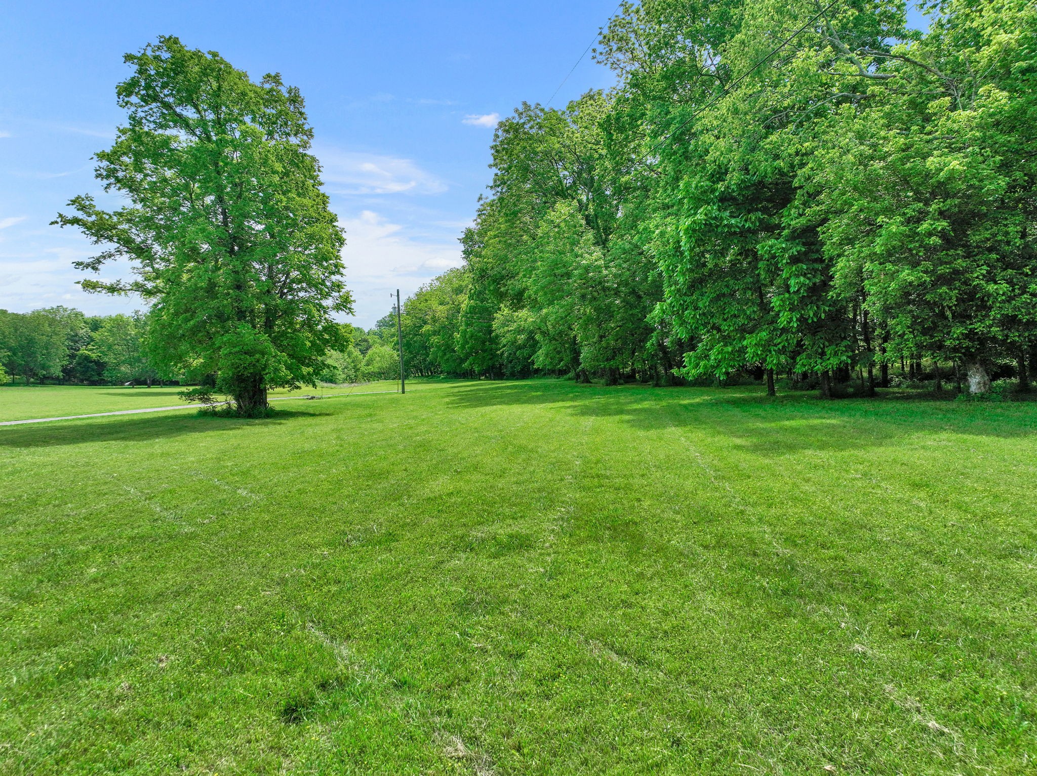 3079 Cairo Bend Road Lebanon, TN 37087 - Photo 62 of 67 a view of a grassy field with trees