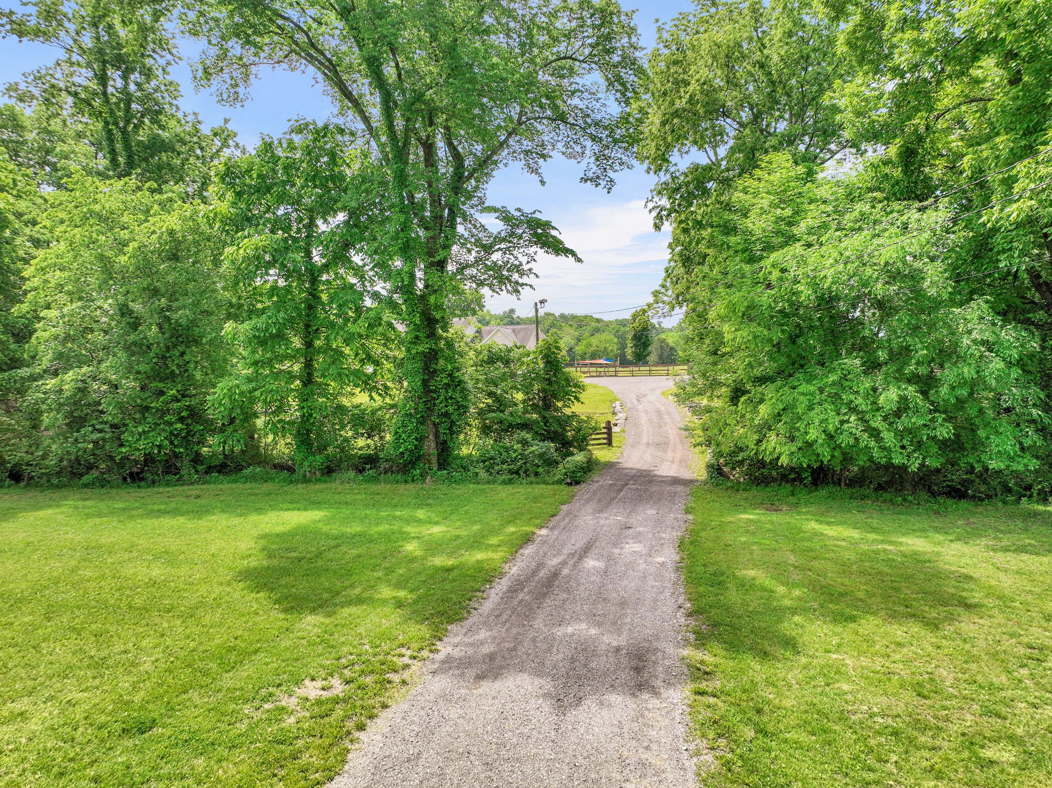3079 Cairo Bend Road Lebanon, TN 37087 - Photo 63 of 67 a view of a yard with plants and large trees