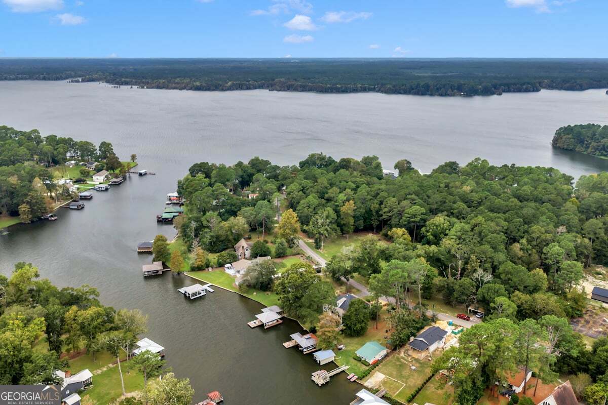 696 Cork Ferry Road Cordele, GA 31015 - Photo 74 of 79 a view of a lake with a beach