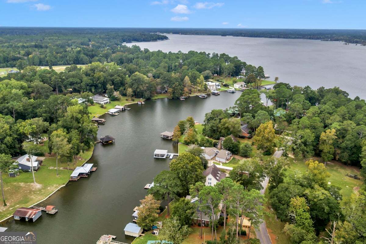 696 Cork Ferry Road Cordele, GA 31015 - Photo 75 of 79 an aerial view of a houses with ocean view