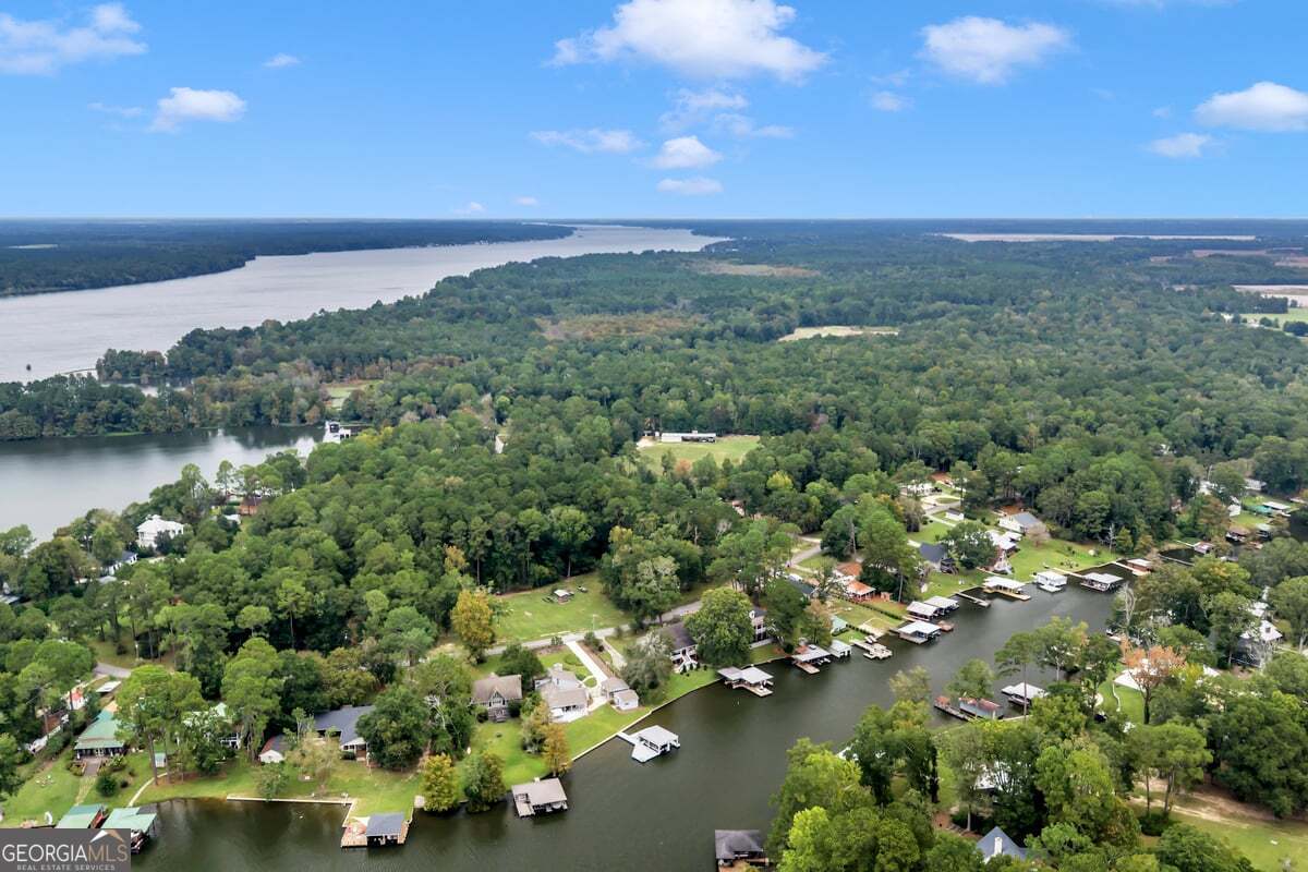 696 Cork Ferry Road Cordele, GA 31015 - Photo 77 of 79 an aerial view of a houses with outdoor space and trees all around
