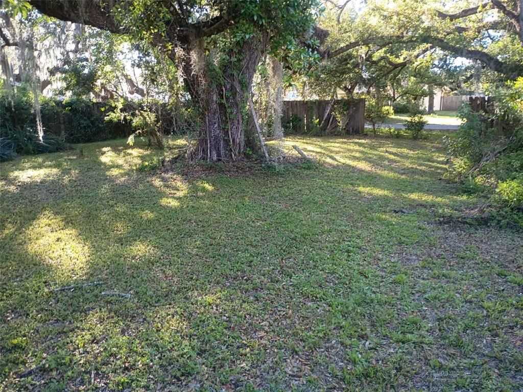 0 Outpost Drive New Port Richey, FL 34654 - Photo 4 of 5