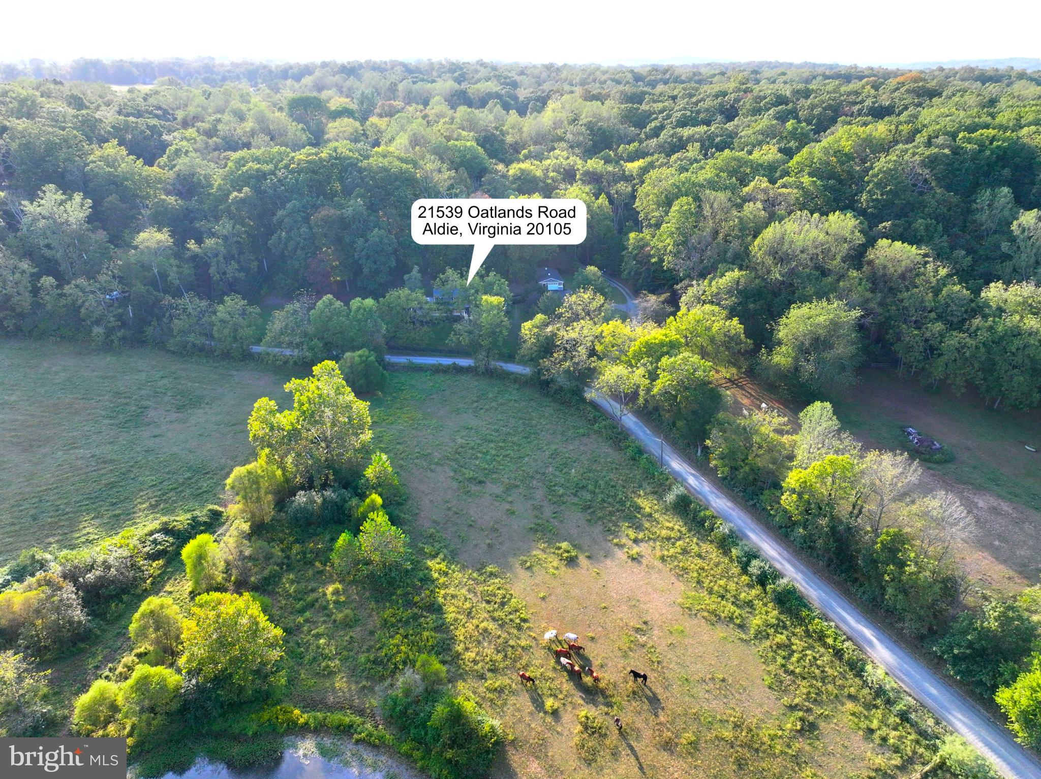 21539 Oatlands Road Aldie, VA 20105 - Photo 104 of 112