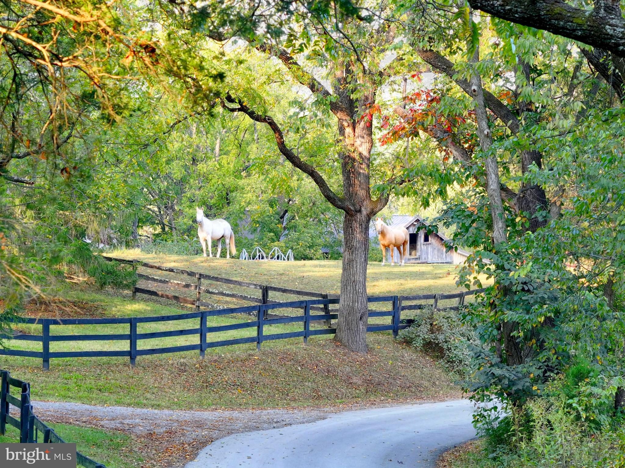 21539 Oatlands Road Aldie, VA 20105 - Photo 107 of 112