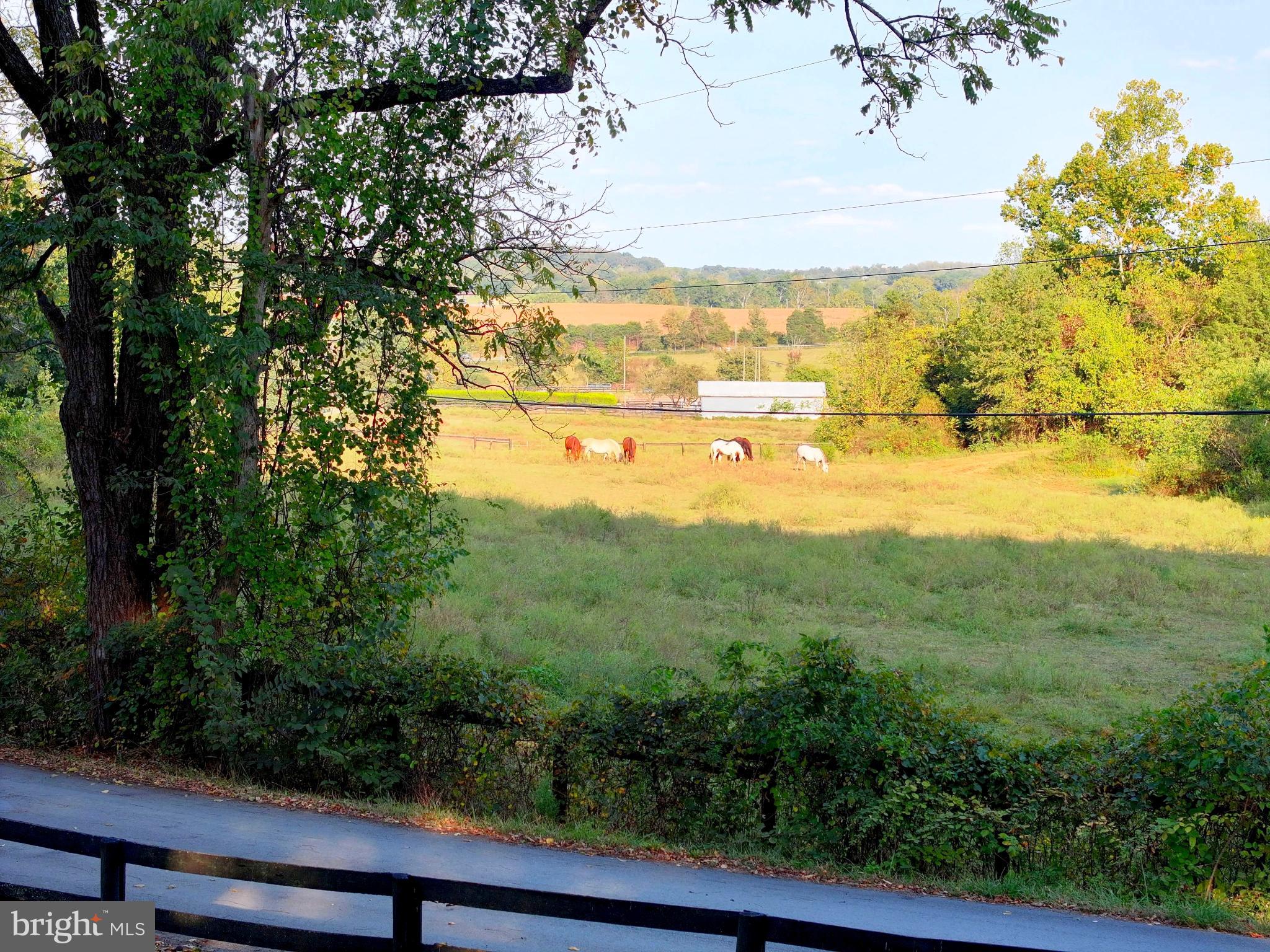 21539 Oatlands Road Aldie, VA 20105 - Photo 108 of 112