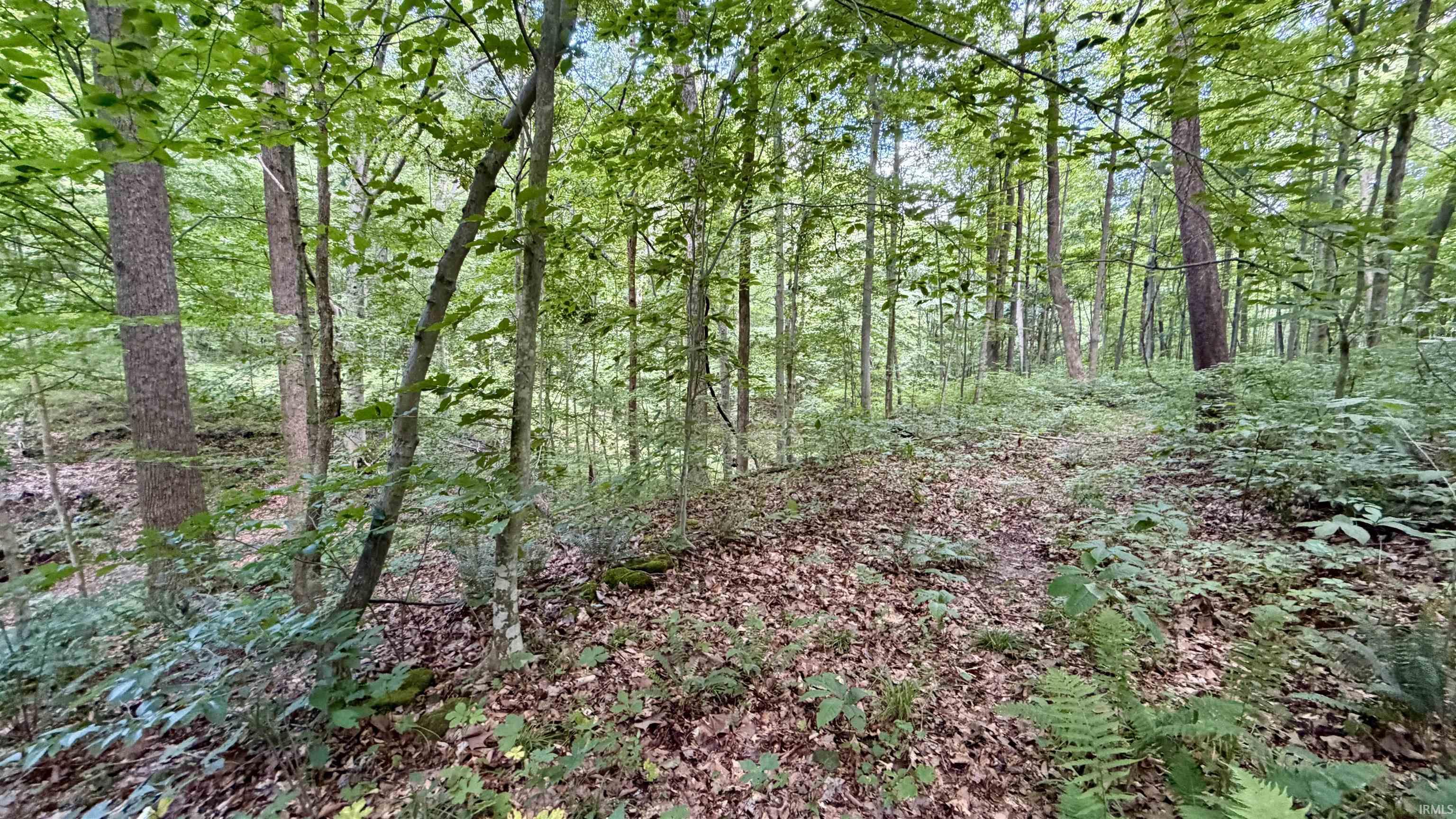 64 State Road English, IN 47118 - Photo 20 of 27