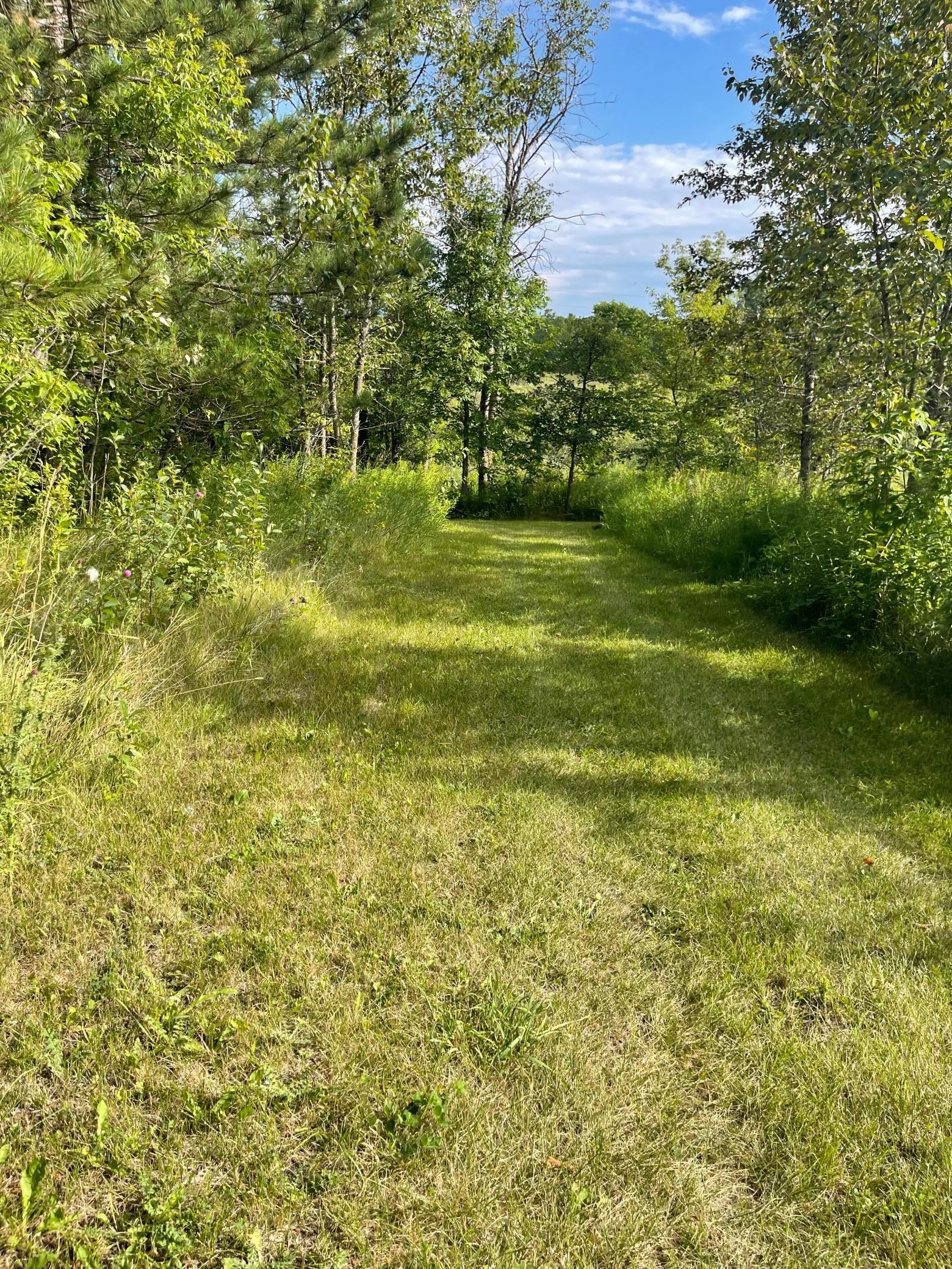 37165 County Road 7 Bagley, MN 56621 - Photo 15 of 86