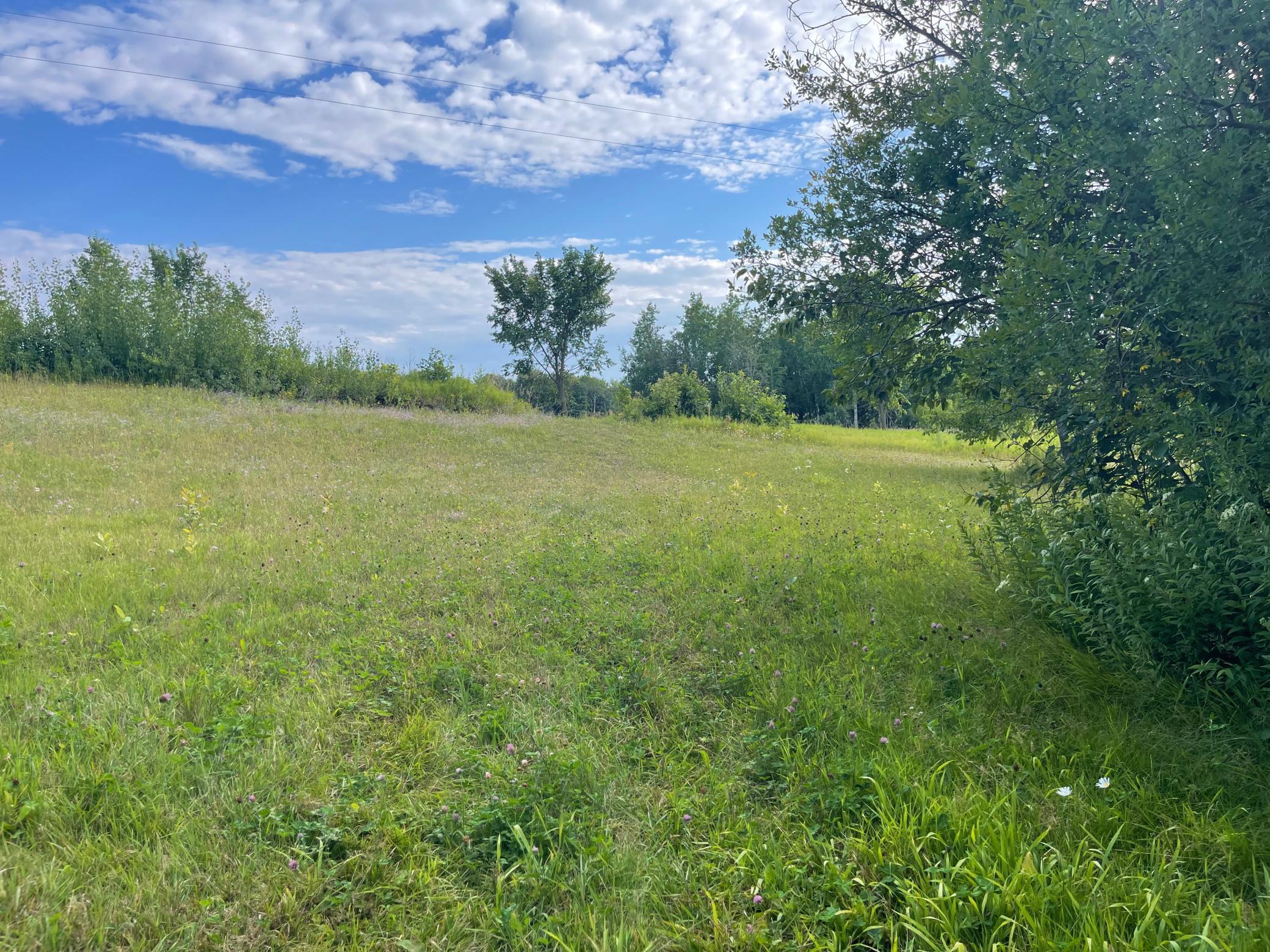 37165 County Road 7 Bagley, MN 56621 - Photo 16 of 86