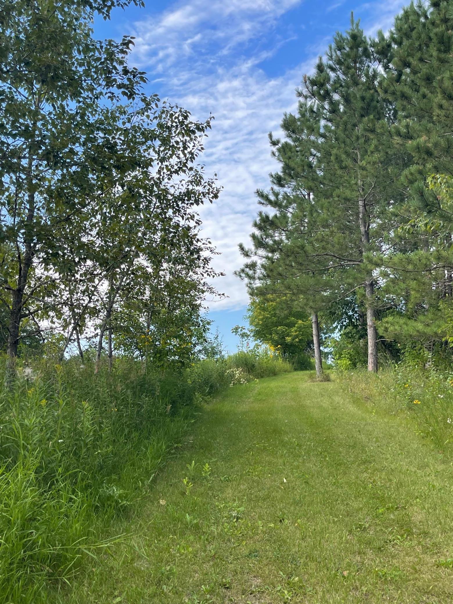 37165 County Road 7 Bagley, MN 56621 - Photo 19 of 86