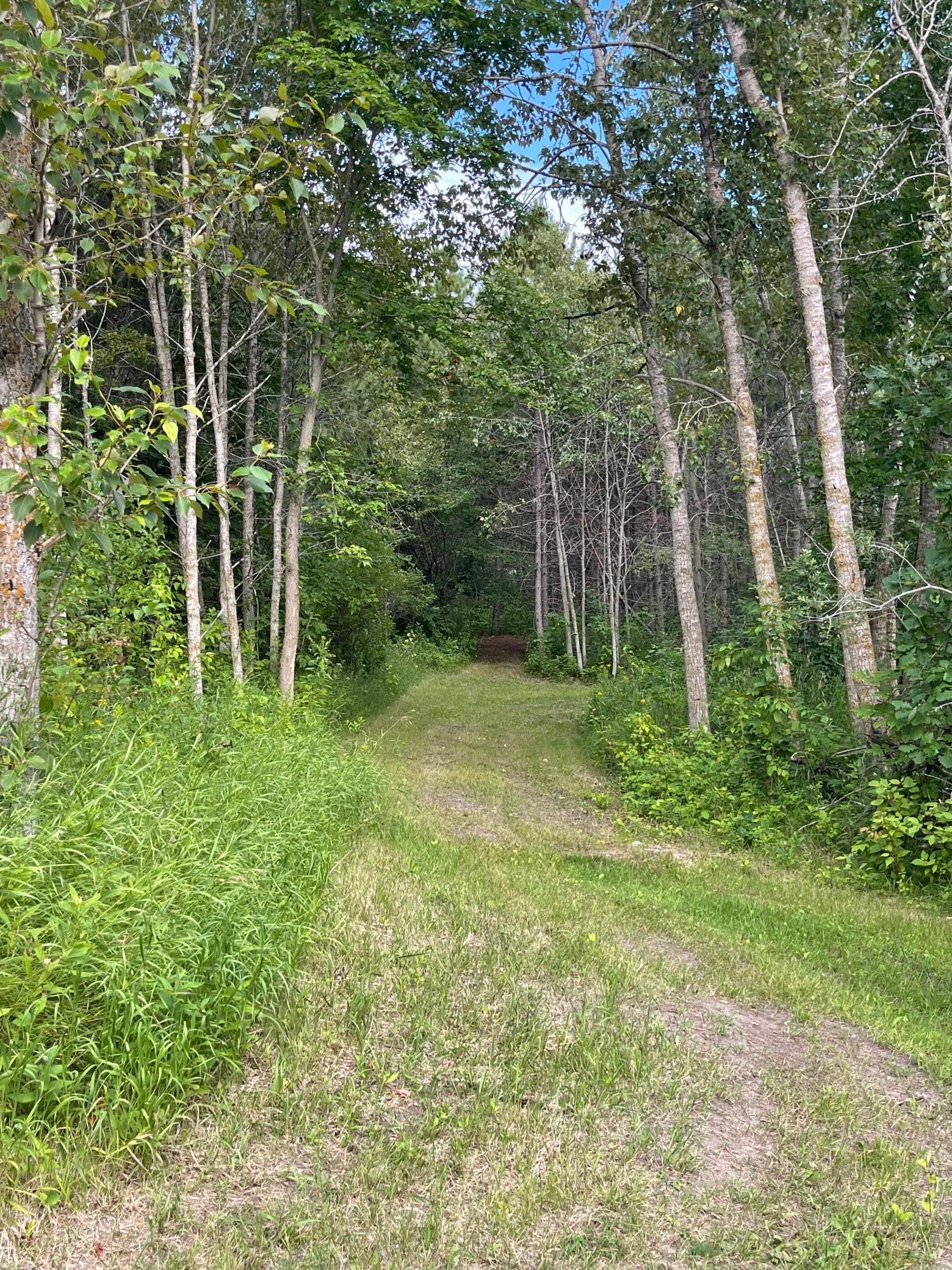 37165 County Road 7 Bagley, MN 56621 - Photo 20 of 86