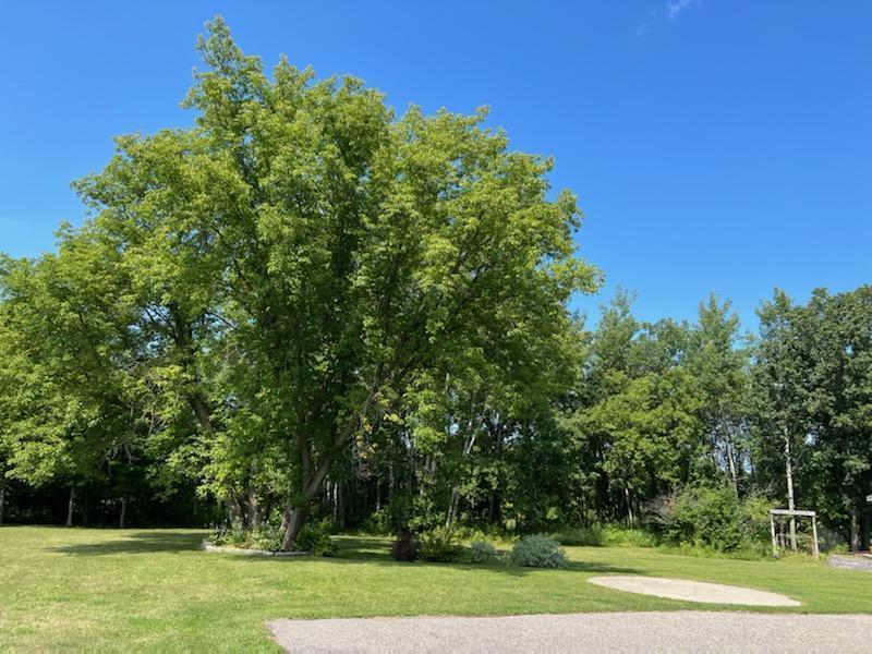 37165 County Road 7 Bagley, MN 56621 - Photo 9 of 86