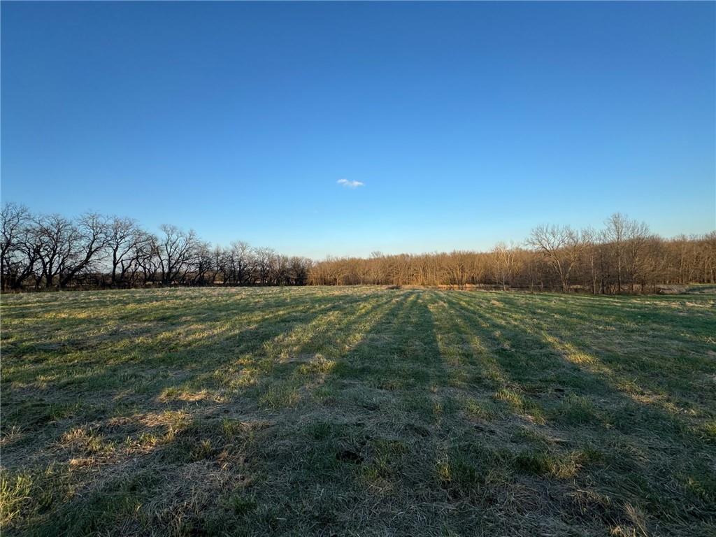 11519 Varner Road Odessa, MO 64076 - Photo 7 of 10