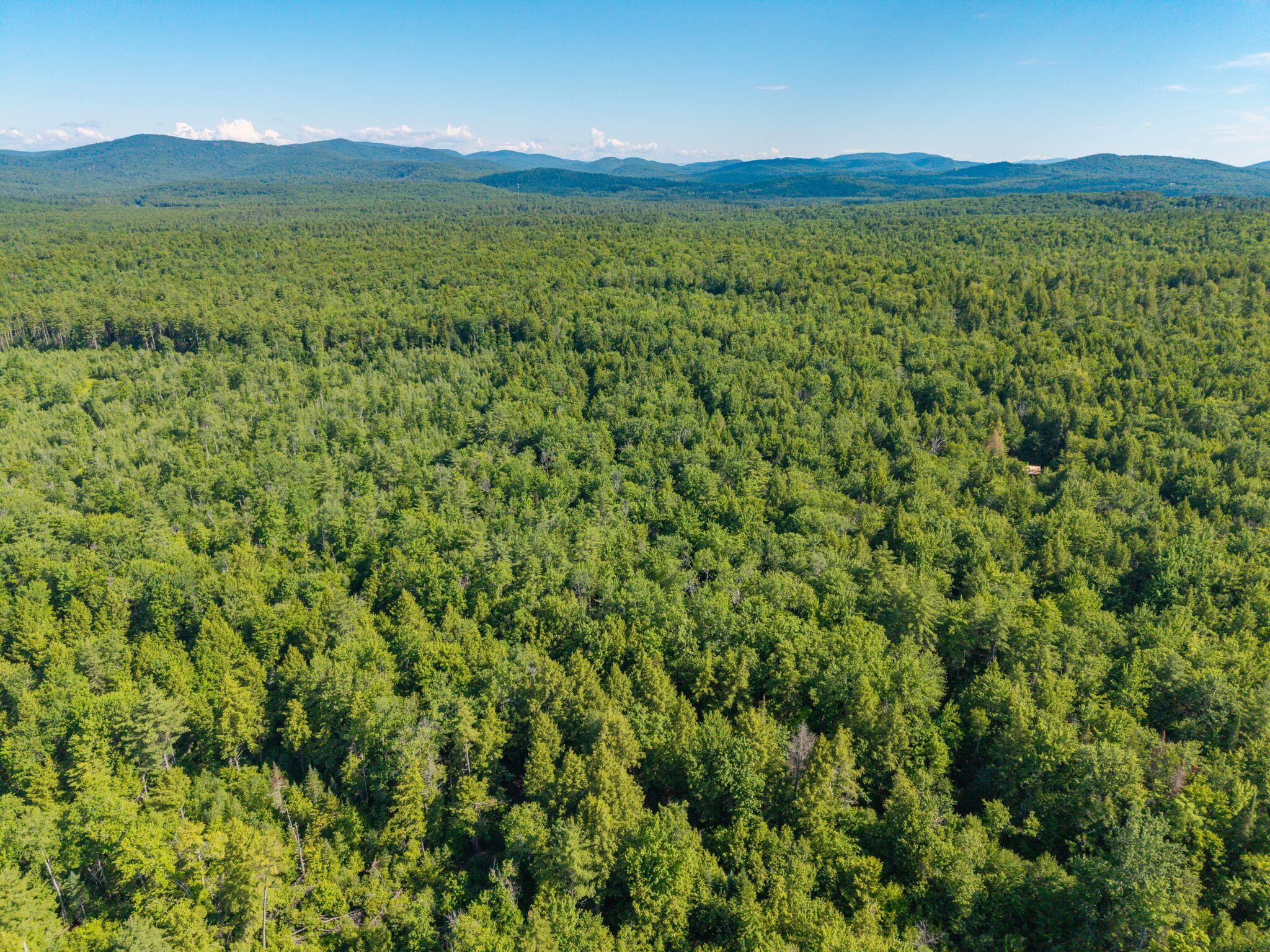 129 Hobbs Swamp Road Parsonsfield, ME 04047 - Photo 6 of 11 Hobb_Swamp_Rd_004