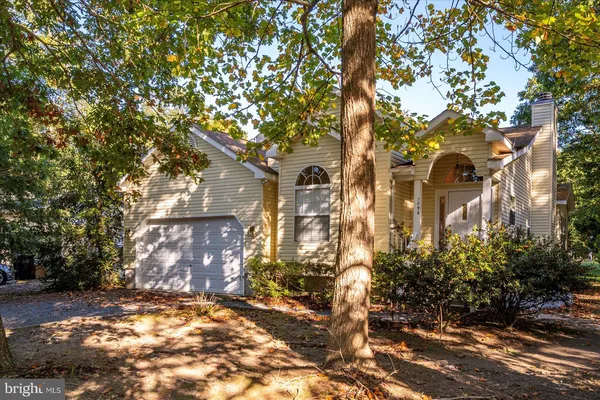 a view of a yard with plants and a bench