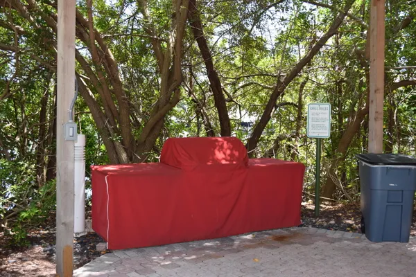 a view of a backyard with a large tree