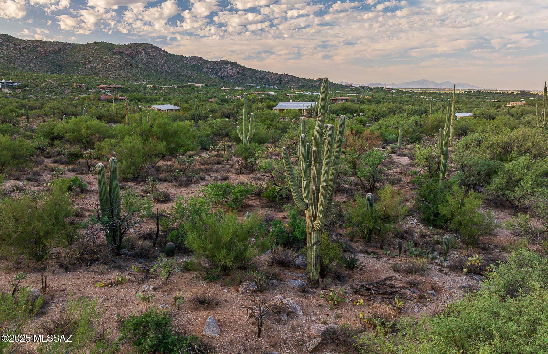 12550 East Horsehead Road Tucson, AZ 85749 - Photo 25 of 29