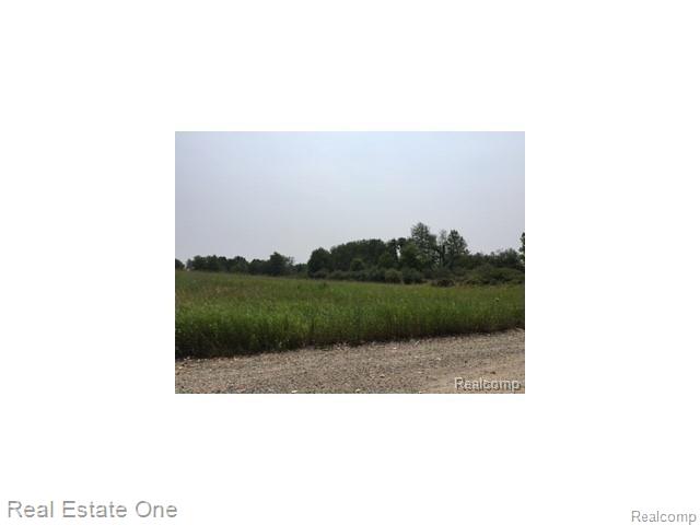 1 Spiroff Highland, MI 48357 - Photo 4 of 5