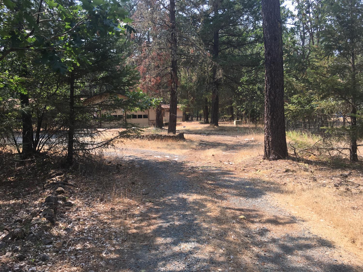 945 Queens Branch Road Rogue River, OR 97537 - Photo 2 of 18 Additional Photo