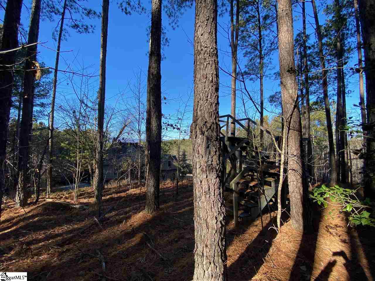 624 Top Ridge Drive Sunset, SC 29685 - Photo 4 of 17