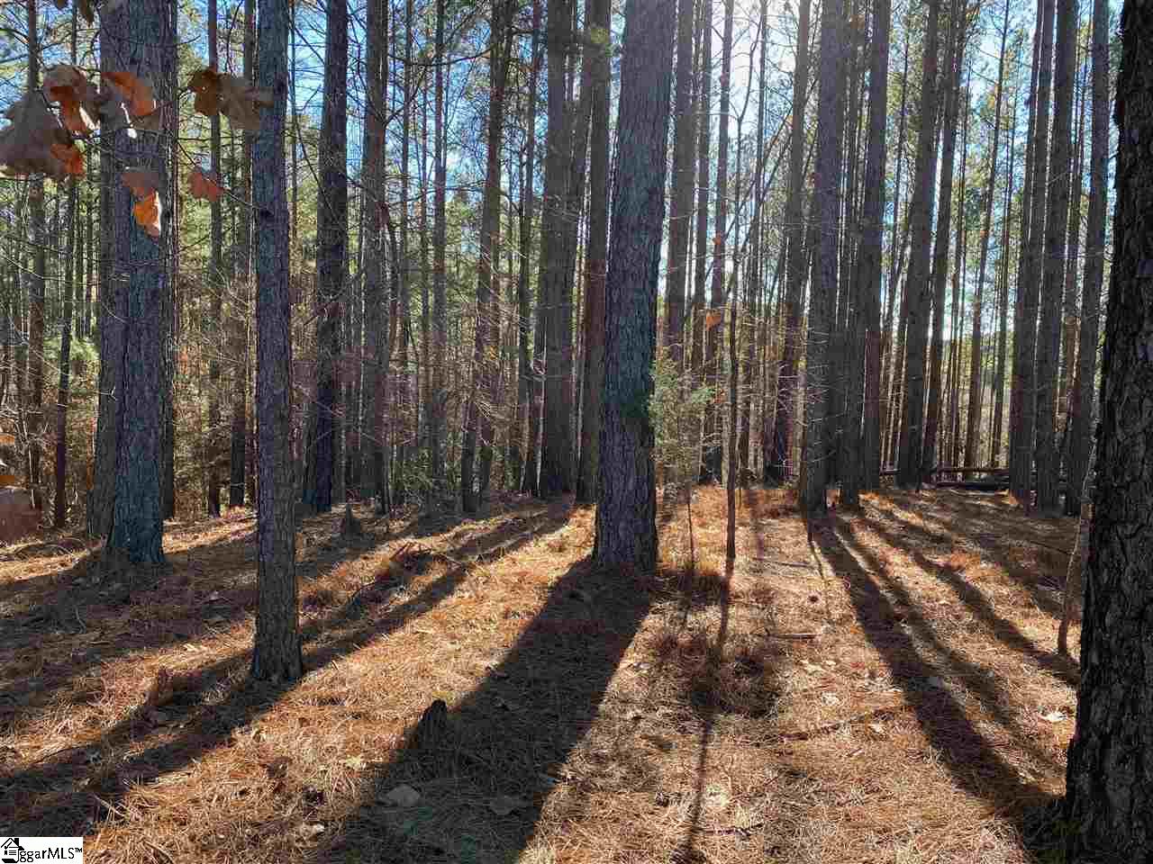 624 Top Ridge Drive Sunset, SC 29685 - Photo 5 of 17