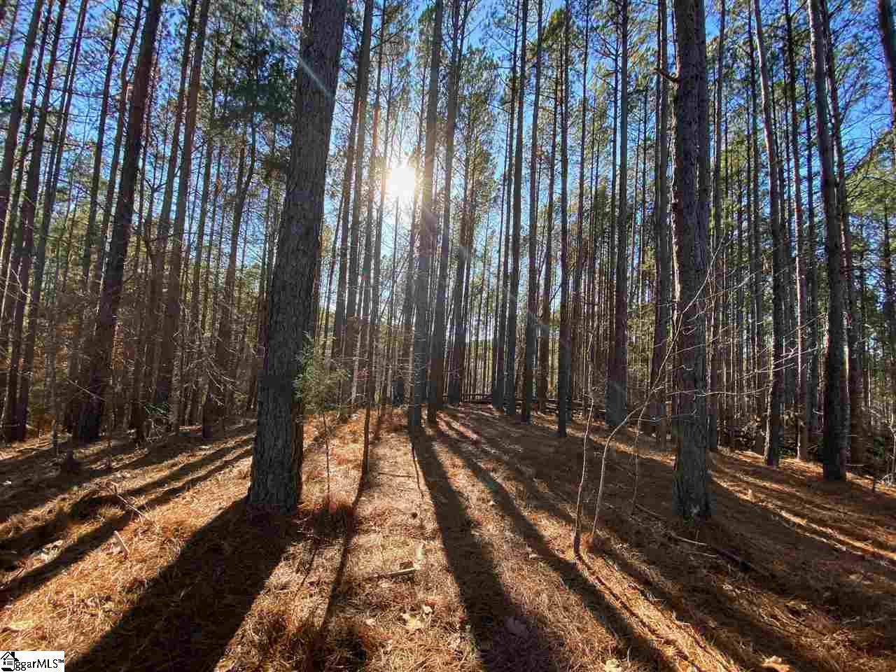 624 Top Ridge Drive Sunset, SC 29685 - Photo 7 of 17