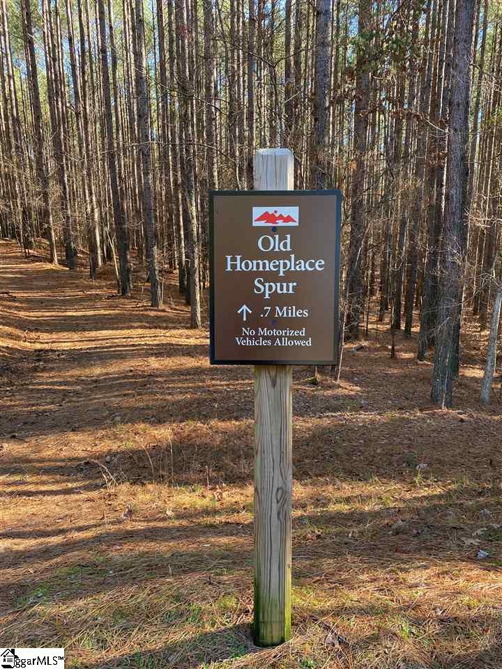 624 Top Ridge Drive Sunset, SC 29685 - Photo 8 of 17