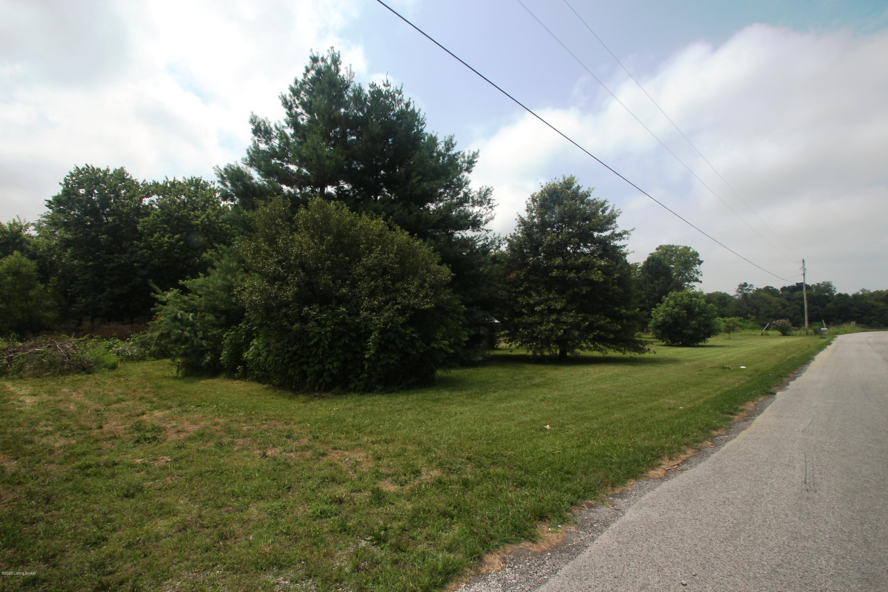 61 Sand Springs Road Eminence, KY 40019 - Photo 10 of 14 018