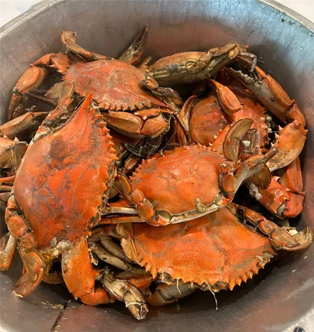 $415,000 | 3349 Julienton Drive Northeast, Townsend, GA 31331