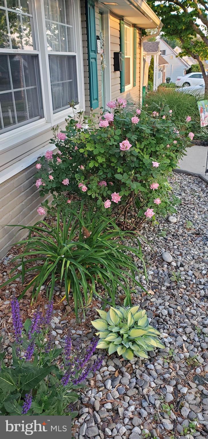 31 Margin Road Levittown, PA 19056 - Photo 29 of 29