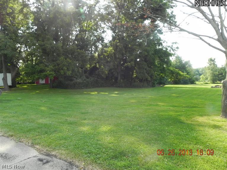 48140 North Ridge Road Amherst, OH 44001 - Photo 13 of 16 Check out the privacy of this lot! Just shy of an acre to call your own.