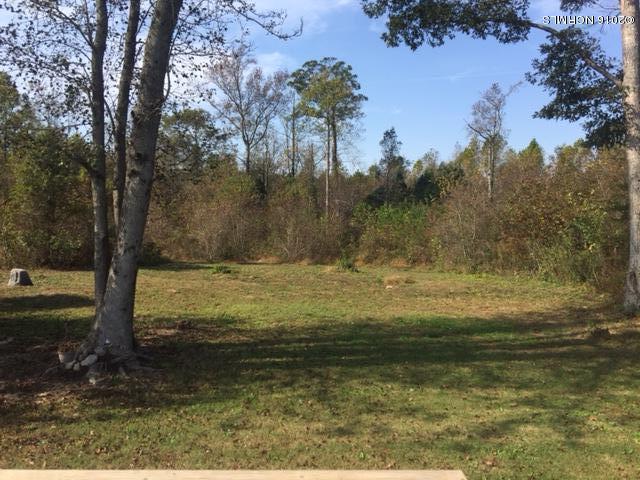 6951 Teeny Road Sims, NC 27880 - Photo 15 of 18 16 Yard