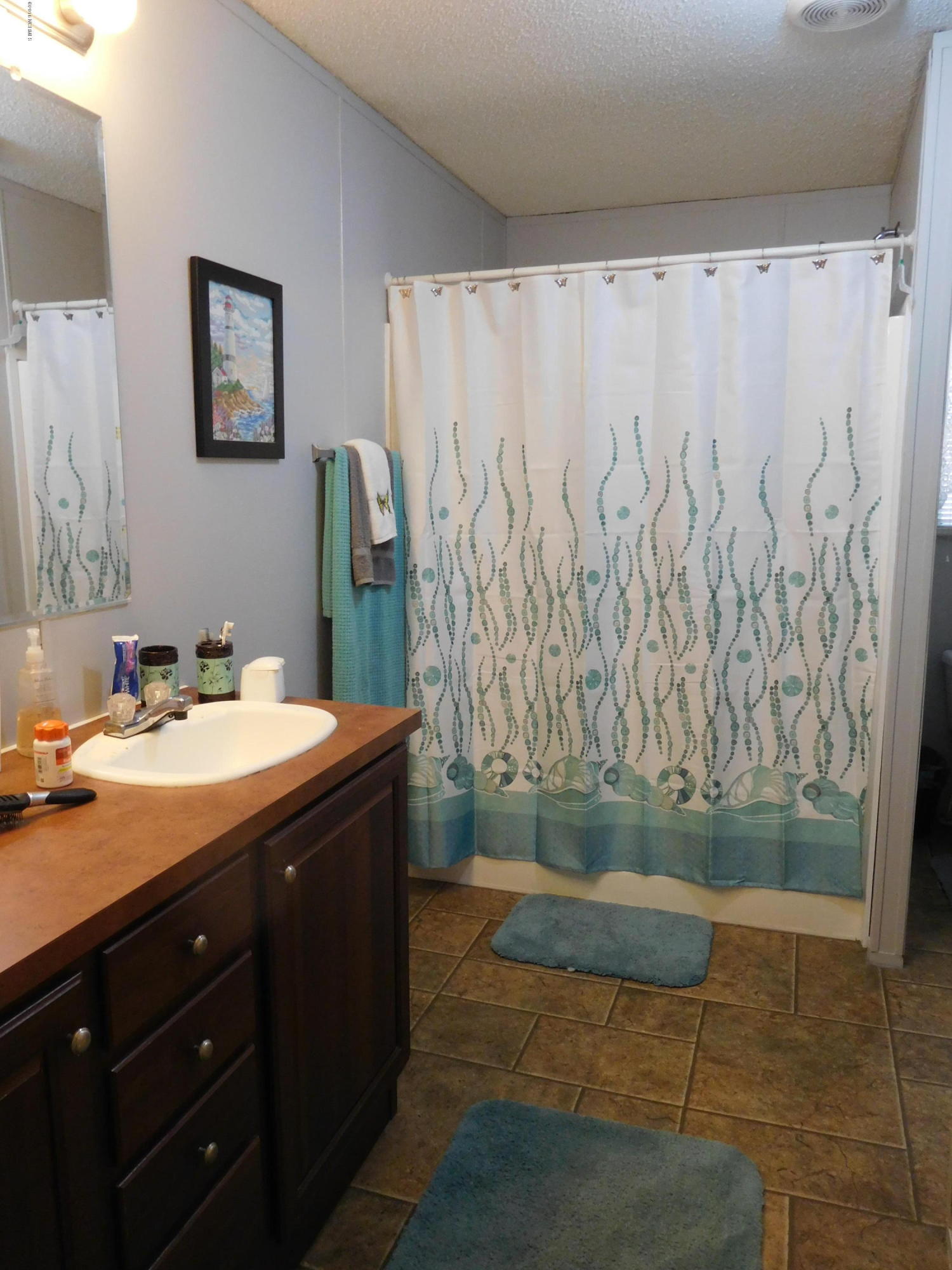 6951 Teeny Road Sims, NC 27880 - Photo 10 of 18 11 Master Bathroom