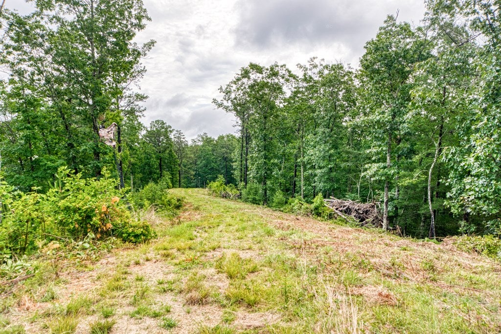 1143.5 Price Ridge Road, Unit 10 Bland, VA 24315 - Photo 23 of 69 Gallery Image 23