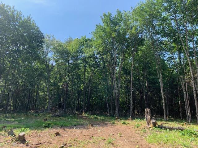 Tbd Cranberry Road Waterboro, ME 04087 - Photo 3 of 36 image12