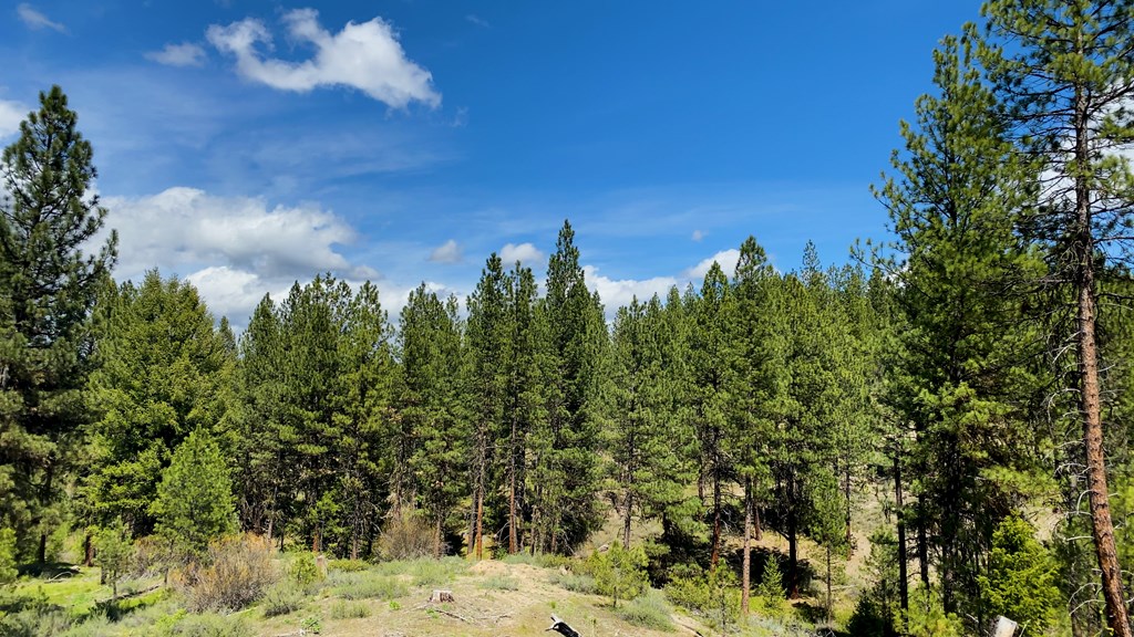 1 Harris Creek Road Idaho City, ID 83631 - Photo 7 of 32