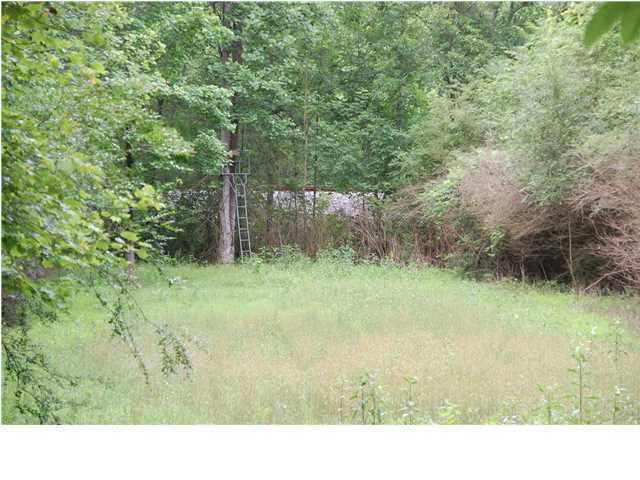 0 Oakton Road LaFayette, GA 30728 - Photo 8 of 23 Additional Photo