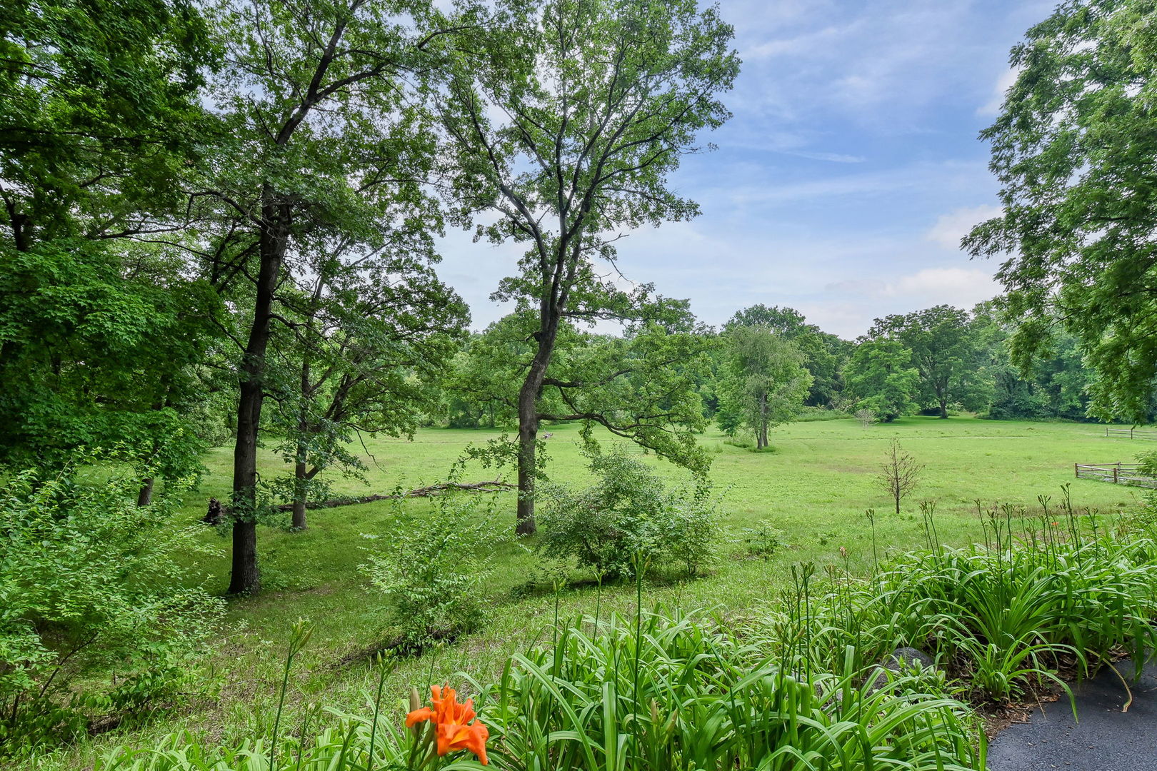 6N197 Denker Road St. Charles, IL 60175 - Photo 66 of 73 a view of an outdoor space with a lake view