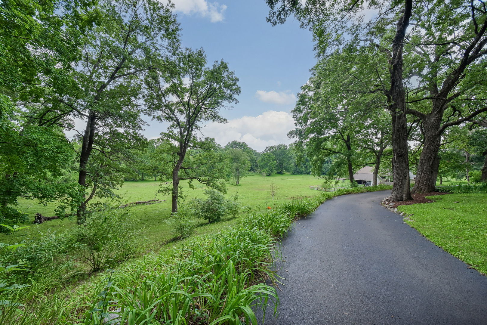 6N197 Denker Road St. Charles, IL 60175 - Photo 67 of 73 a view of a street with a yard and large trees