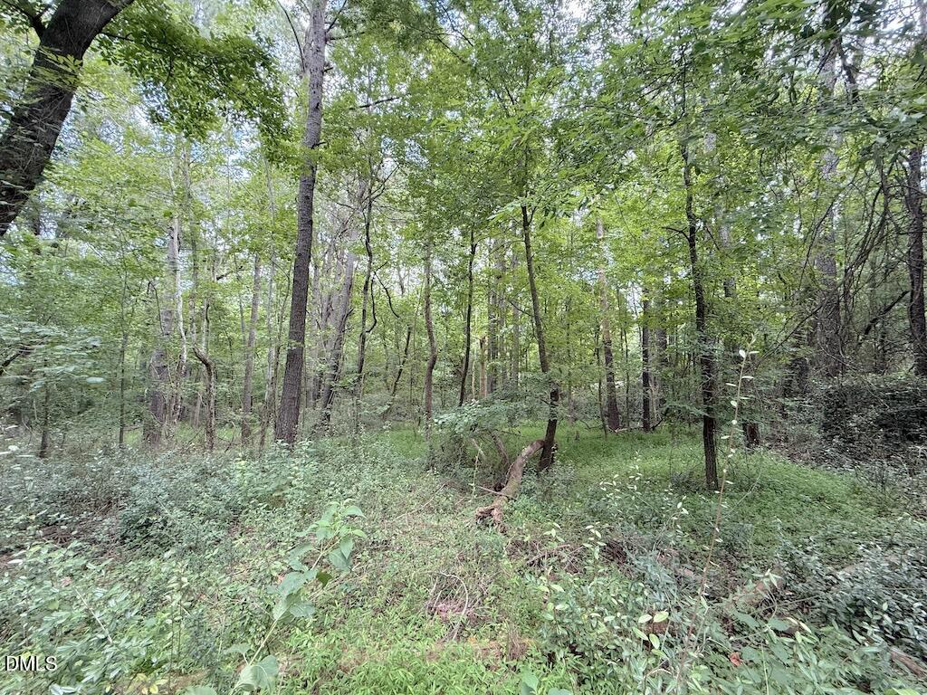 0 Laurel Rdg Road Durham, NC 27705 - Photo 12 of 41 12