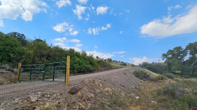 a view of a yard with wooden fence