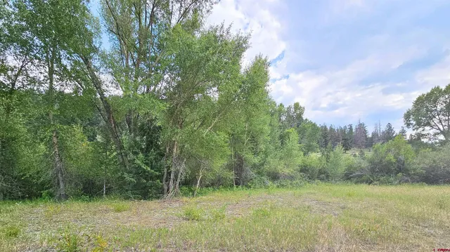 a view of outdoor space and yard