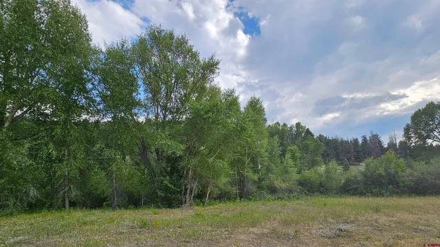 a view of a field of grass and trees